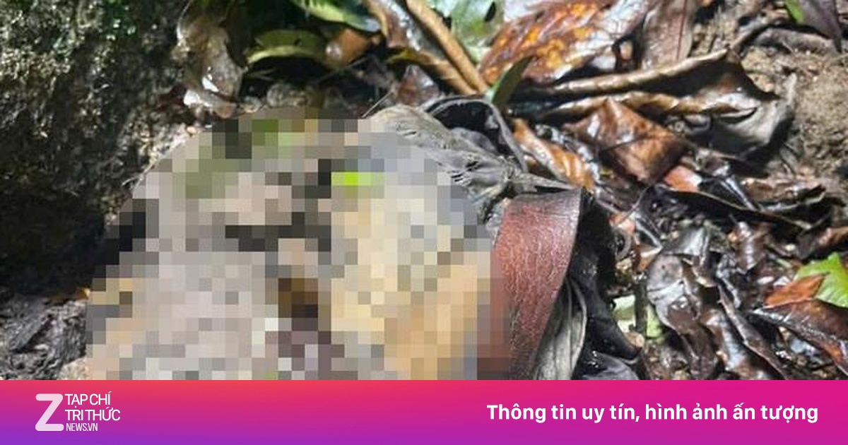 Phát hiện bộ xương người ở bìa rừng