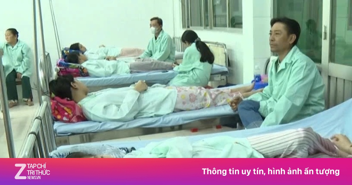 Nguyên nhân hơn 80 người ngộ độc bánh mì ở Đồng Tháp