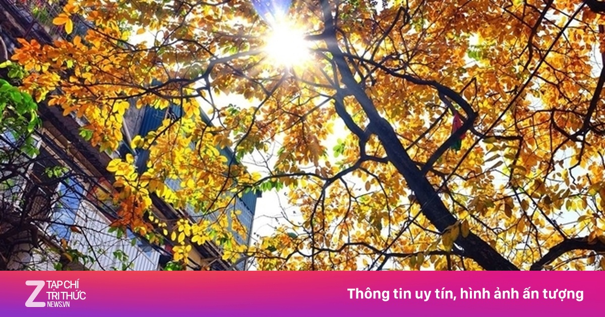 Dự báo thời tiết ngày 17/3: TP.HCM mưa cục bộ, Hà Nội nắng 28°C