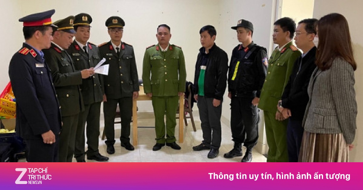 5 Bị Cáo Lĩnh Án Vì Gây Thiệt Hại Hơn 5,5 Tỷ Đồng Khi Tận Thu Rừng Cháy Tại Huế