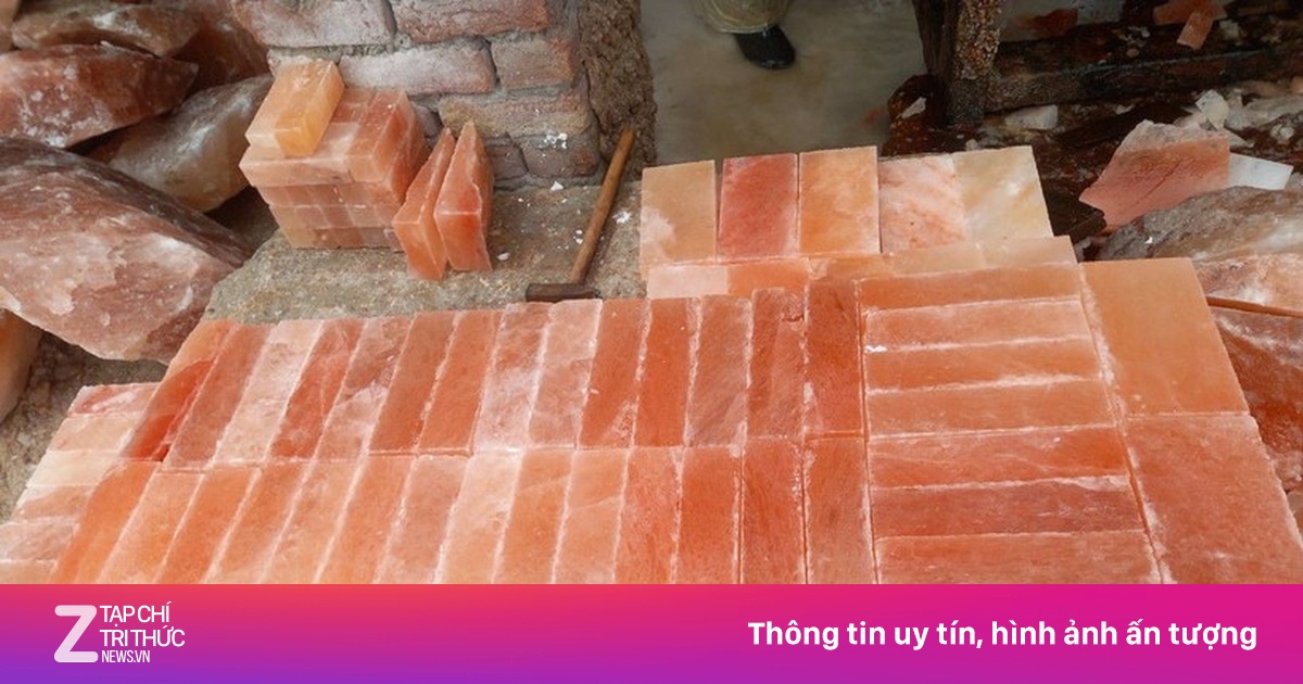 Cựu cán bộ kỹ thuật trường đại học lừa hơn 13 tỷ dự án mua bán đá muối