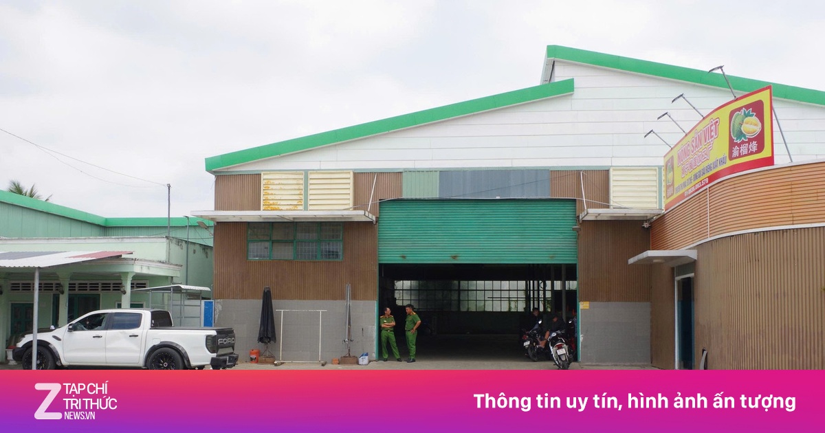Đồng Tháp: Khởi tố vụ án hỗn chiến giữa người mua và chủ vựa sầu riêng