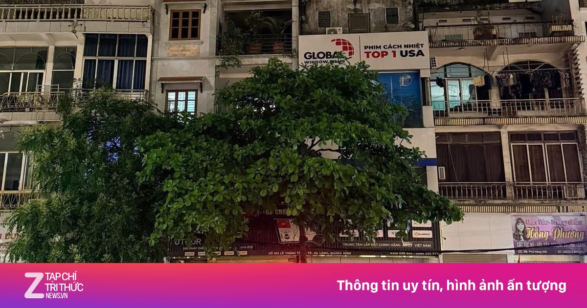 Nam thanh niên Quảng Ninh tử vong sau khi leo núi Bài Thơ bị cấm