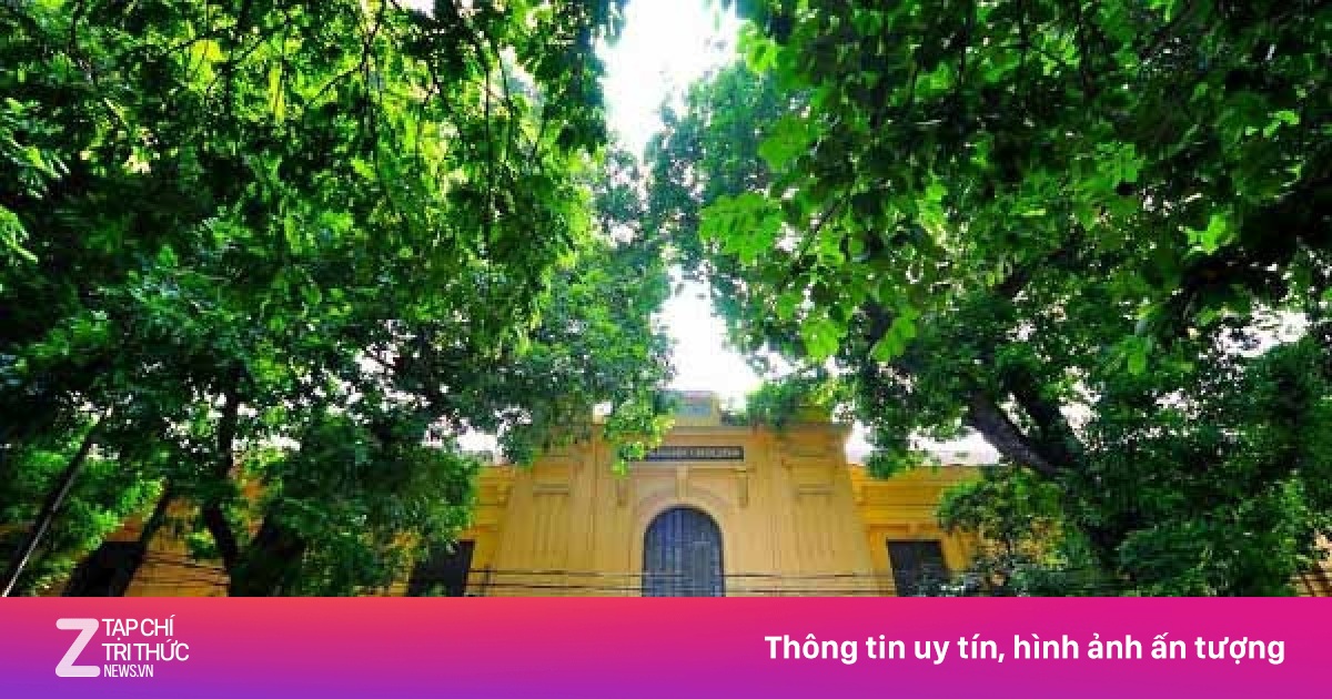 Hà Nội Khẳng Định: Không Di Dời Toàn Bộ Bệnh Viện, Trường Học Khỏi Trung Tâm