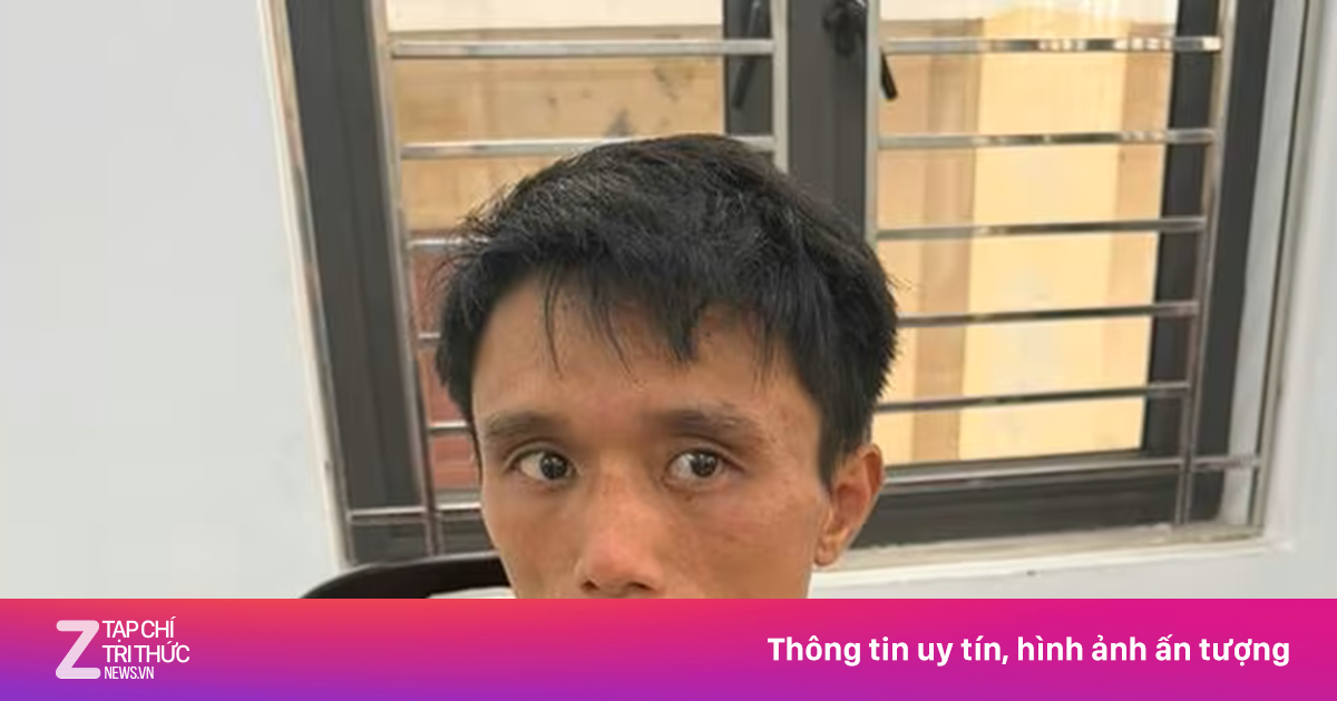 Hải Phòng: Bắt giữ nghi phạm sát hại cụ bà 87 tuổi, phi tang thi thể dưới gốc cây xoài