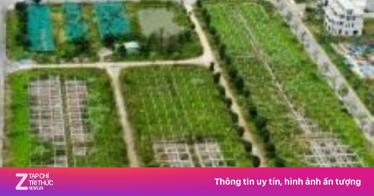 Công an TP.HCM mở rộng điều tra vụ lừa đảo đất nền tại Công ty Đại Phúc Real