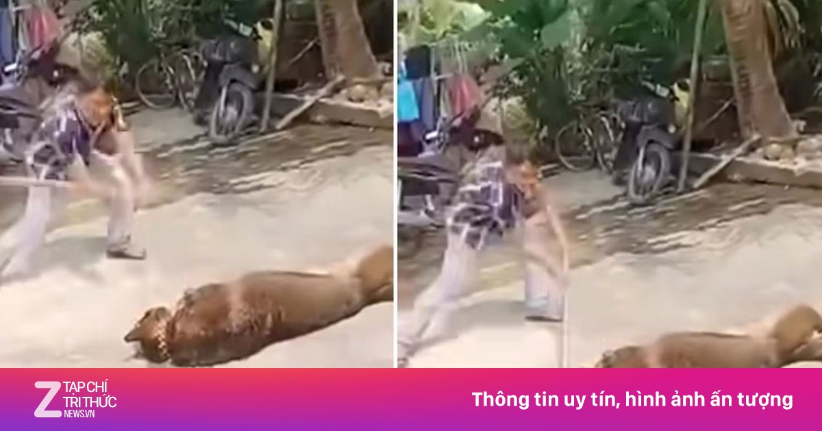 Cụ ông 83 tuổi ở Hà Tĩnh tử vong thương tâm sau khi bị chó béc giê tấn công