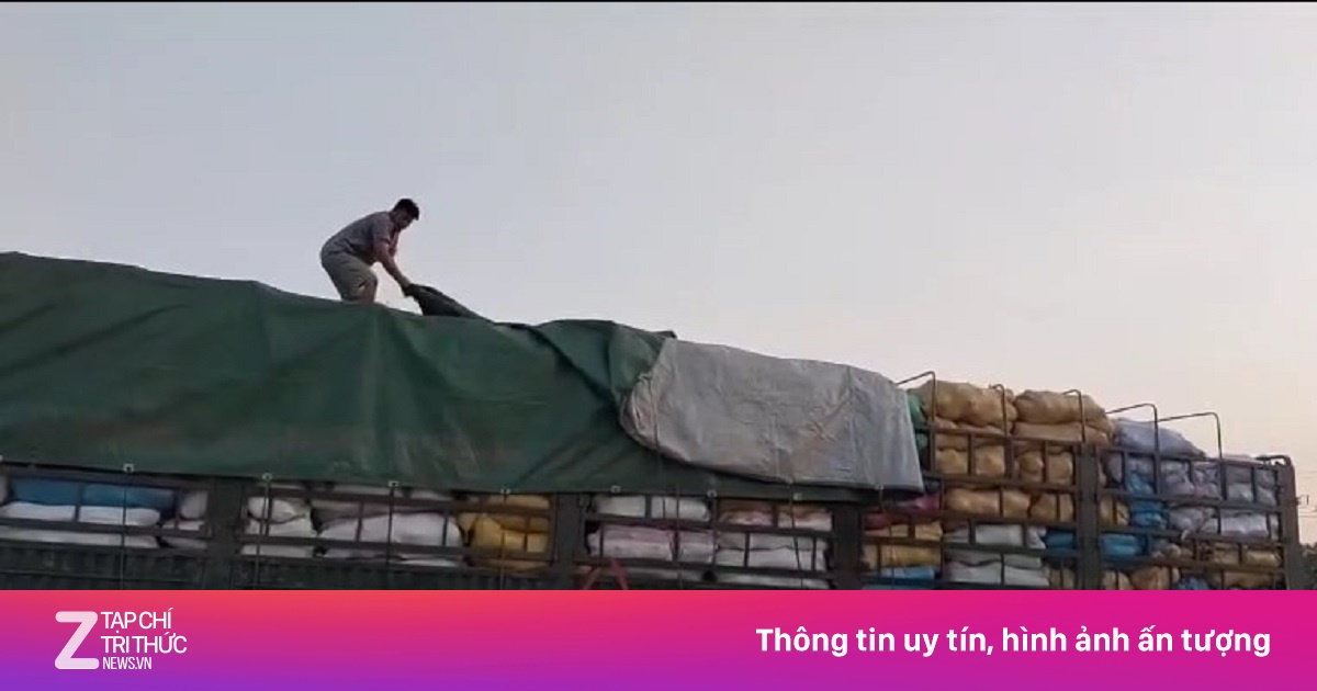 Xe chở hàng quá khổ trên cao tốc Phan Thiết - Vĩnh Hảo bị phạt hơn 40 triệu đồng
