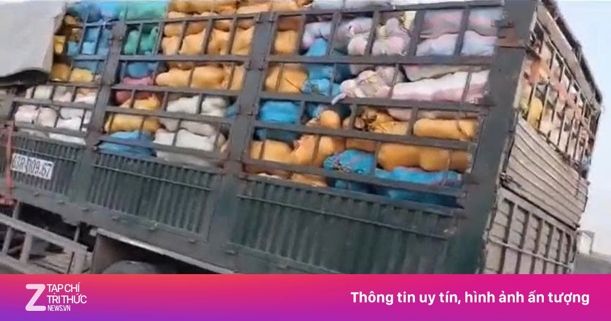 Video Clip Ghi Lại Cảnh Xe Cháy Qua Kho Trên Cao Tốc Phan Thiết - Vĩnh Hảo
