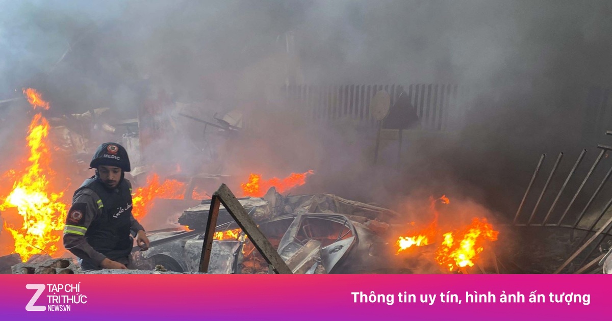 znews.vn