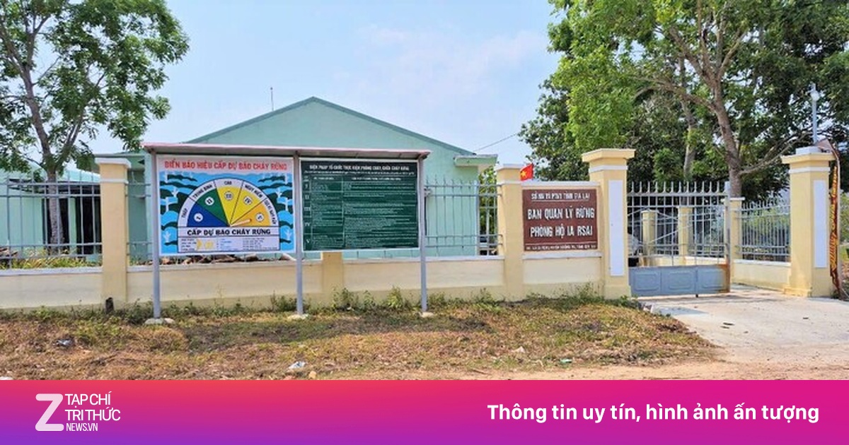 Bắt tạm giam một trưởng ban quản lý rừng phòng hộ ở Gia Lai
