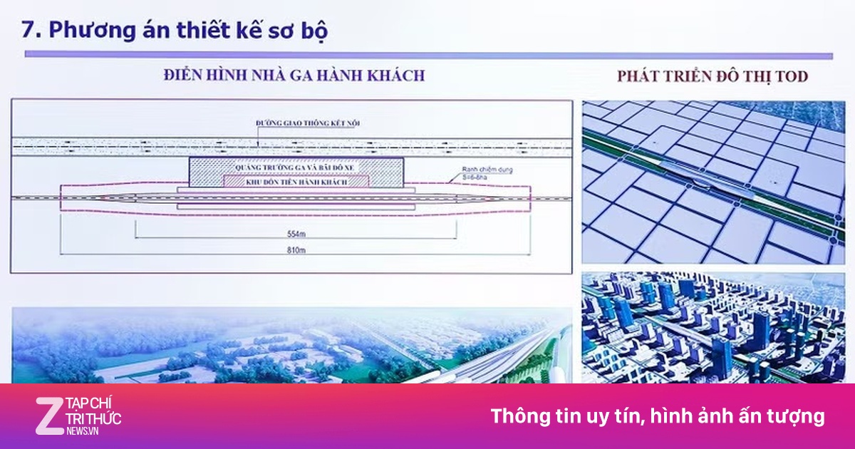 znews.vn