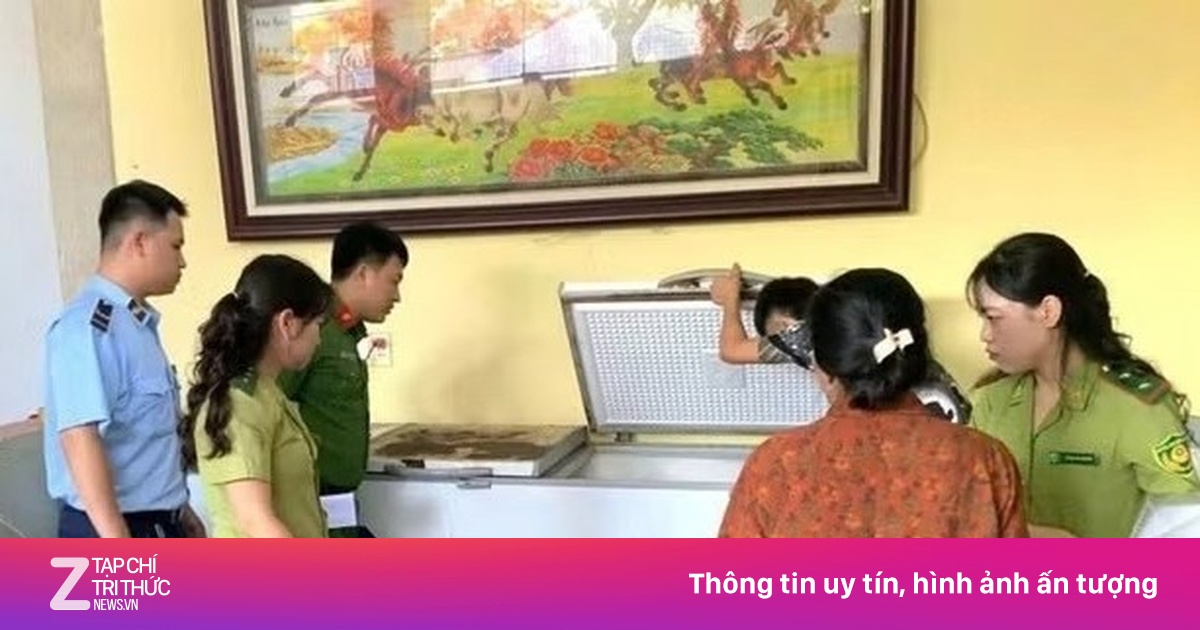 Phát hiện, thu giữ 290 cá thể cò hương cấp đông chờ tiêu thụ