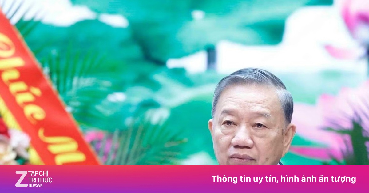 znews.vn