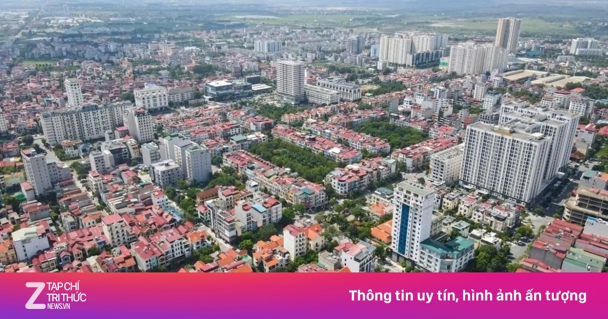 znews.vn