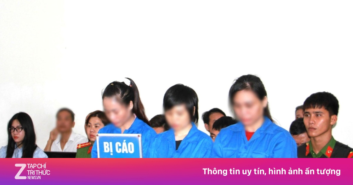 Bài viết