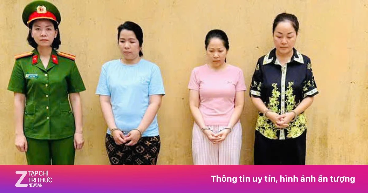 znews.vn