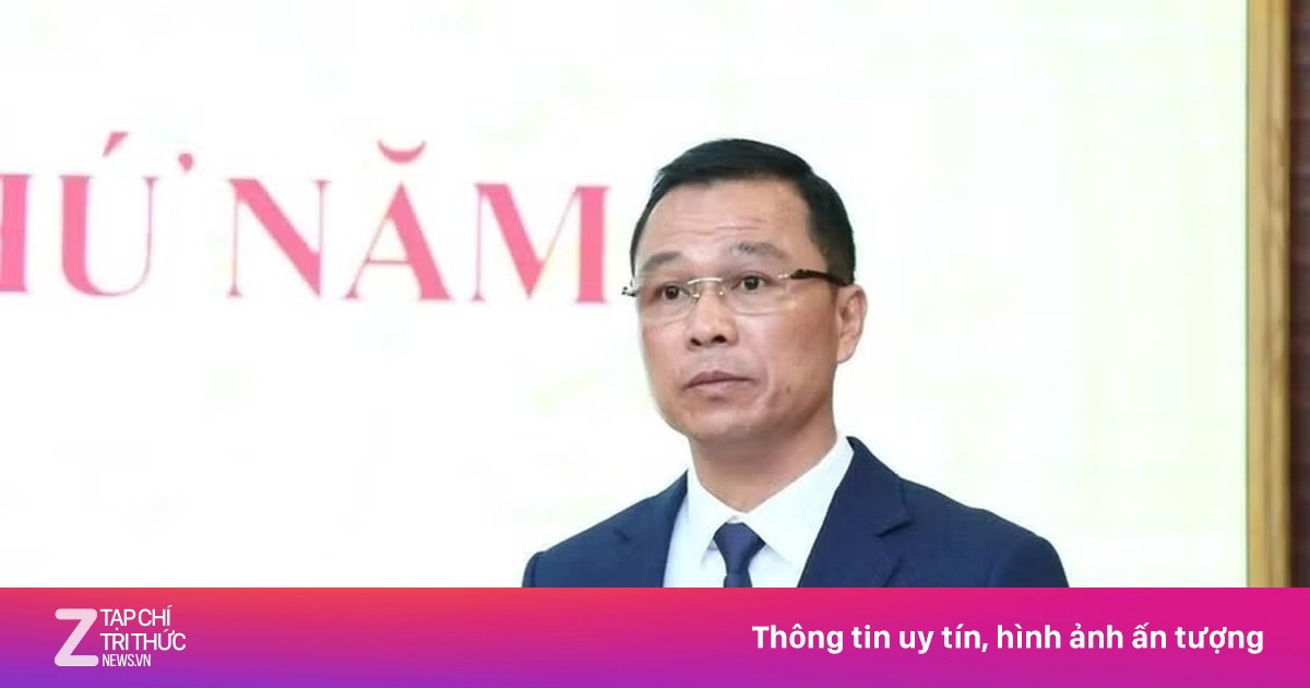 znews.vn