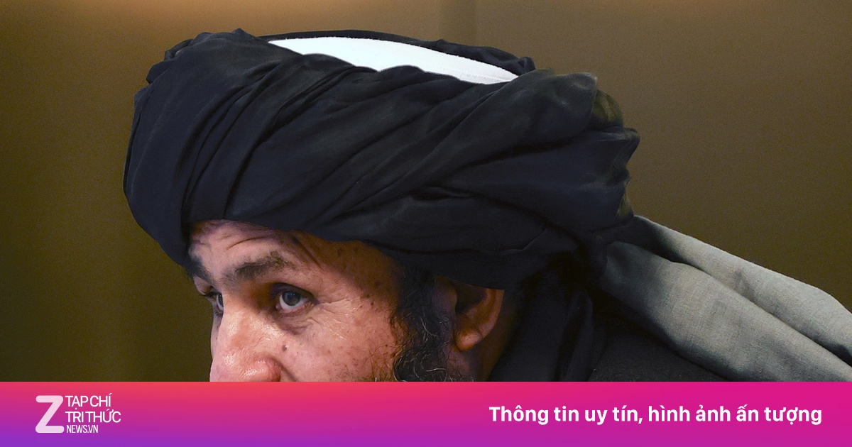 zingnews.vn