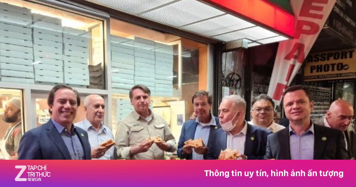 zingnews.vn