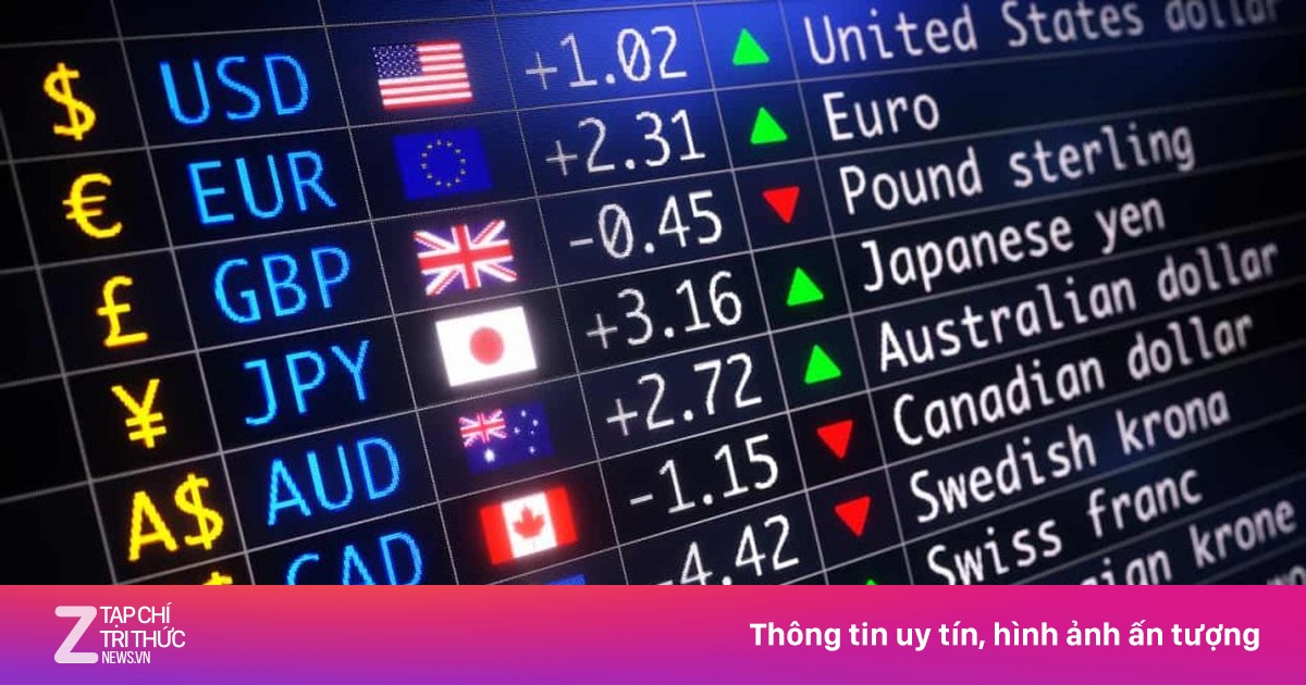 NHNN không cấp phép sàn Forex, chỉ đề xuất cơ chế cho tiền kỹ thuật số