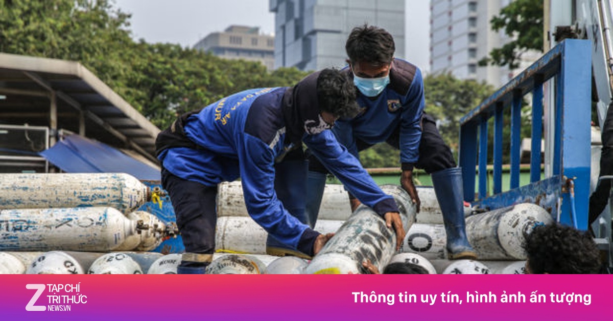 zingnews.vn