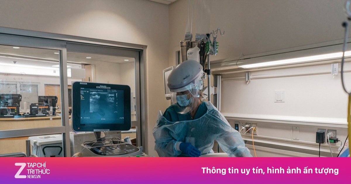 zingnews.vn
