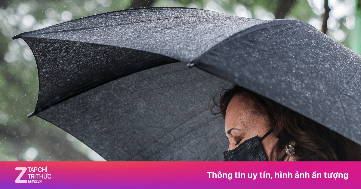 zingnews.vn
