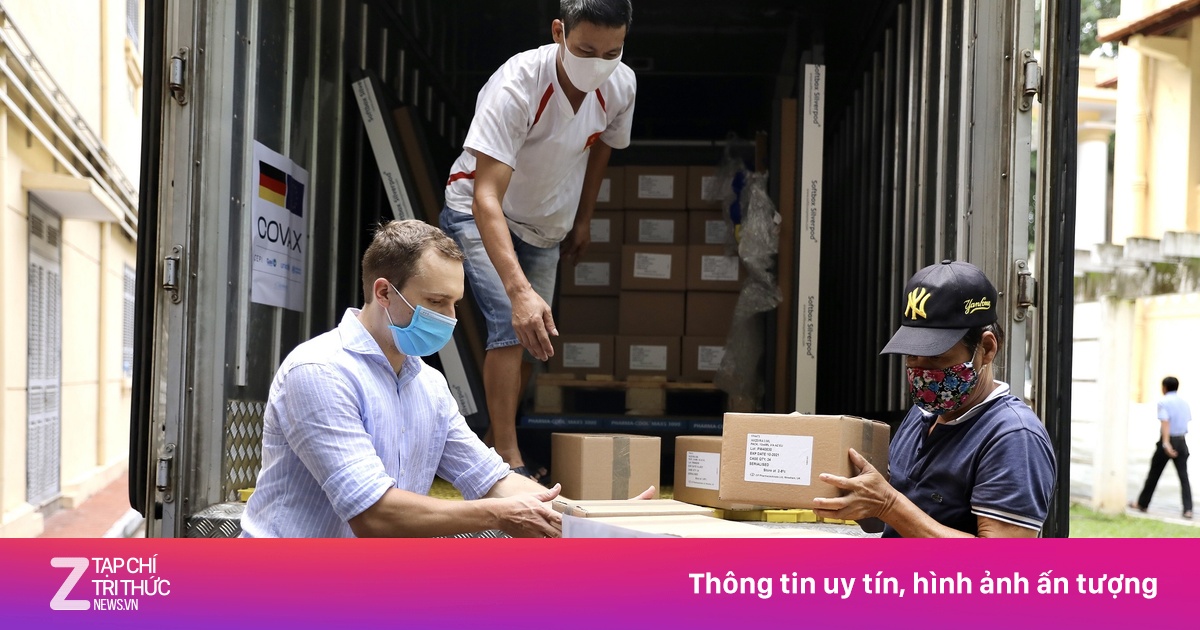 zingnews.vn