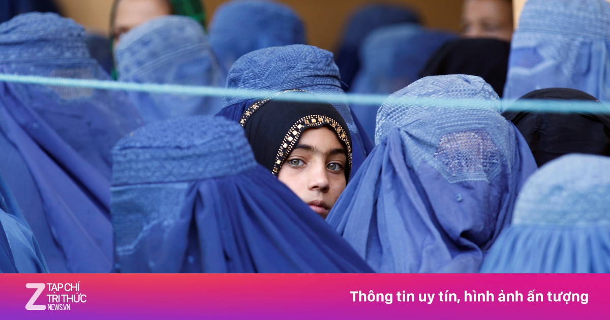 zingnews.vn