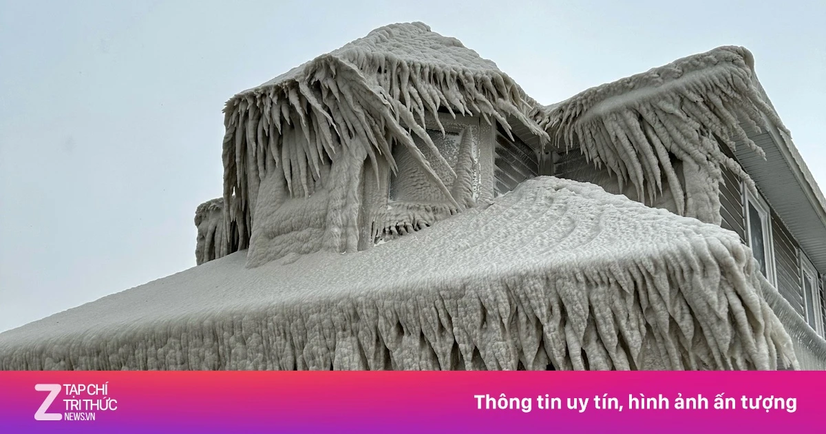 zingnews.vn