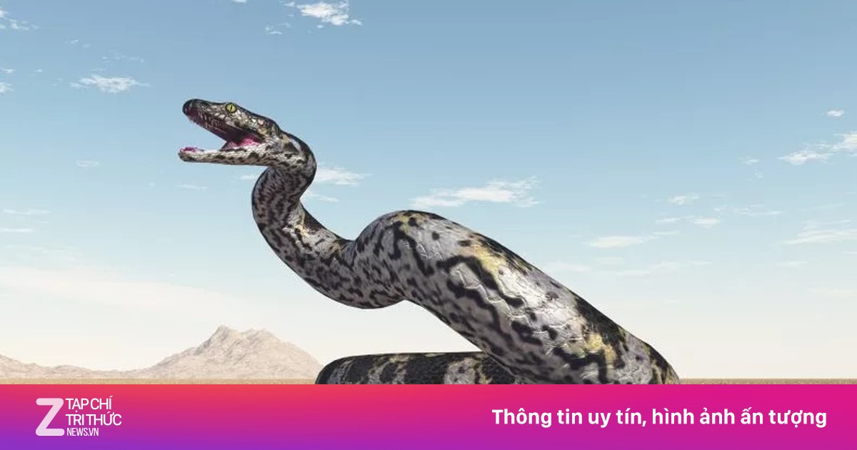 Phát hiện ‘quái vật’ rắn lớn nhất từng sống trên Trái Đất | Znews.vn