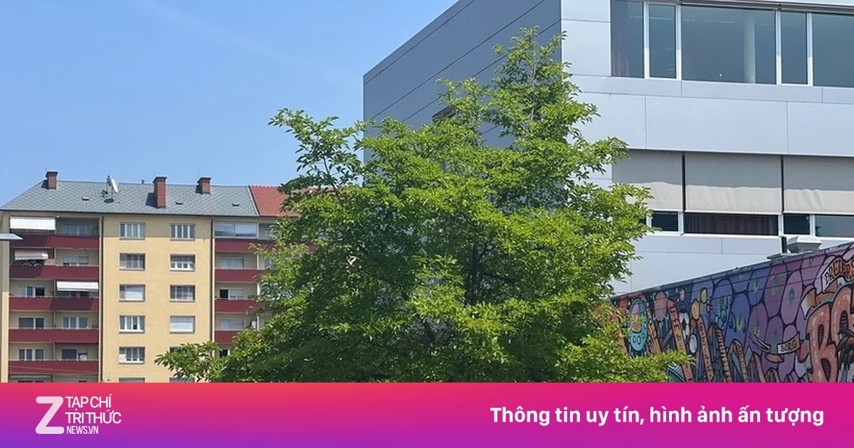Áo tuyên bố quốc tang, nghi phạm xả súng là cựu học sinh của trường
