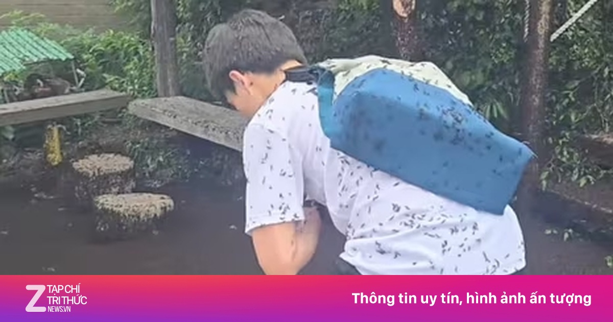 Người Hàn Quốc khổ sở vì 'bọ tình yêu'