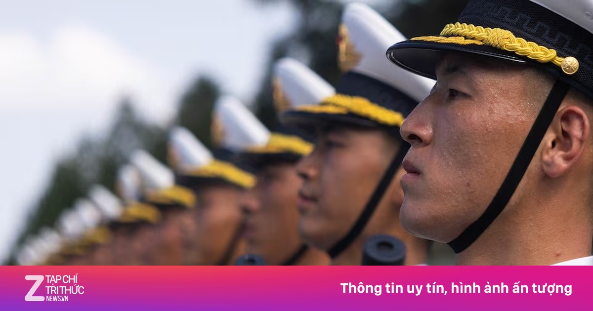 znews.vn