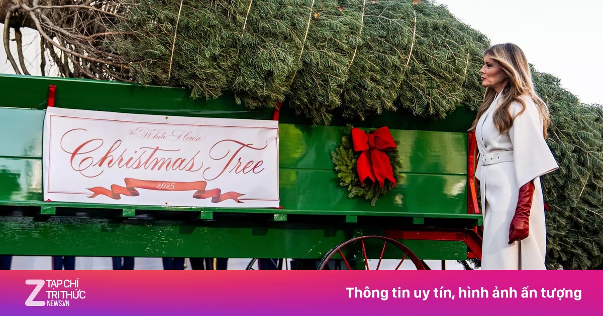 Đệ nhất phu nhân Melania đón cây thông Noel tới Nhà Trắng
