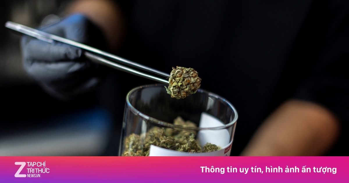 22 nhà sư bị bắt vì buôn lậu hơn 100 kg cần sa từ Thái Lan vào Sri Lanka