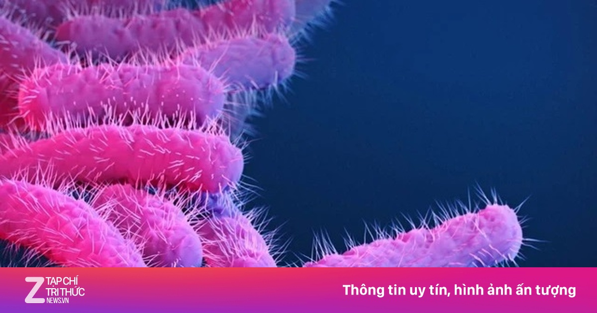 Không chủ quan với viêm âm đạo do vi khuẩn