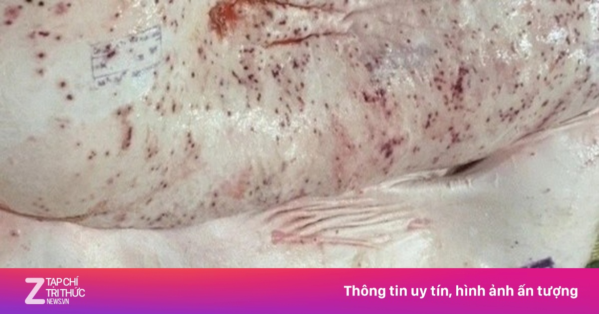 Thịt bẩn gắn tem sạch: Ai đang 'đầu độc' người tiêu dùng?