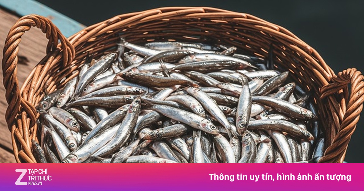 Loại cá nhỏ bé có nhiều lợi ích với sức khỏe