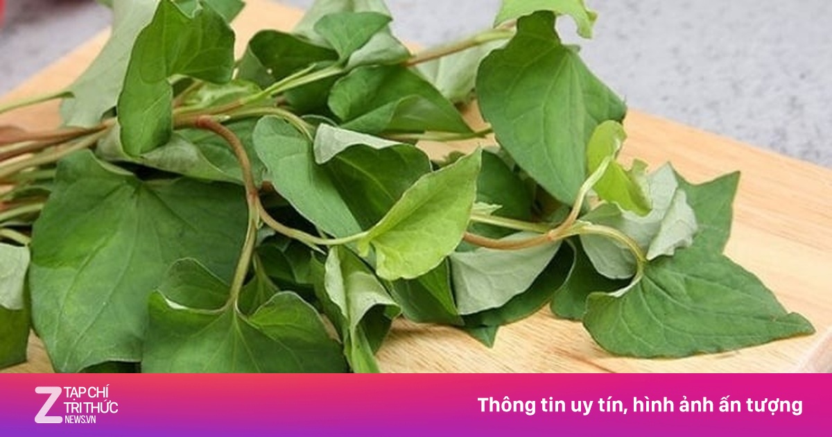 Những bài thuốc từ rau diếp cá
