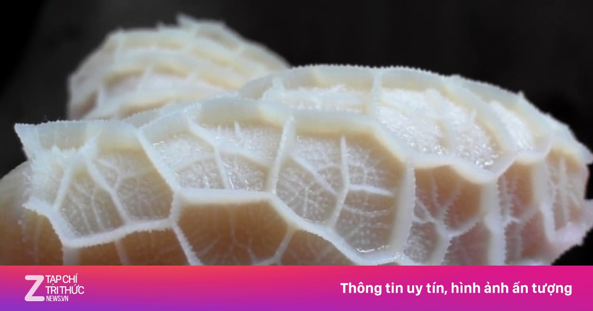 Mẹo chọn sách bò tươi và cách làm trắng, khử mùi không cần hóa chất