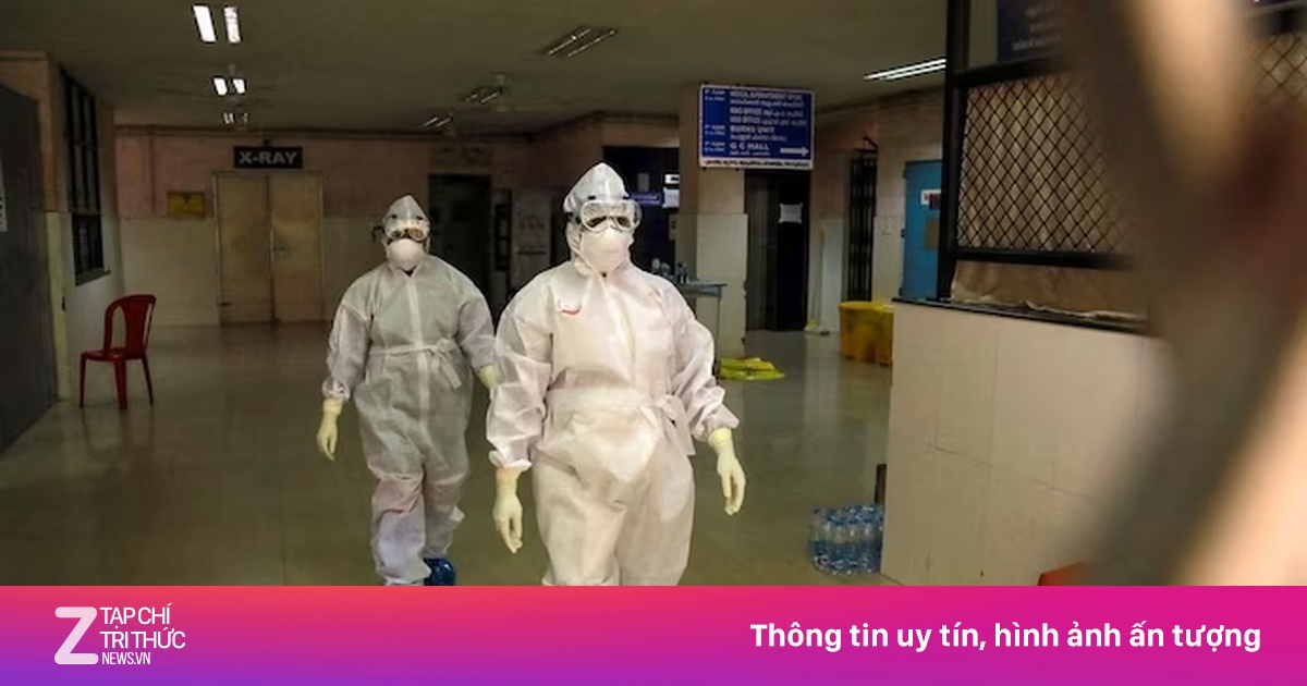 Virus Nipah bùng phát ở Ấn Độ, TP.HCM phát thông báo mới