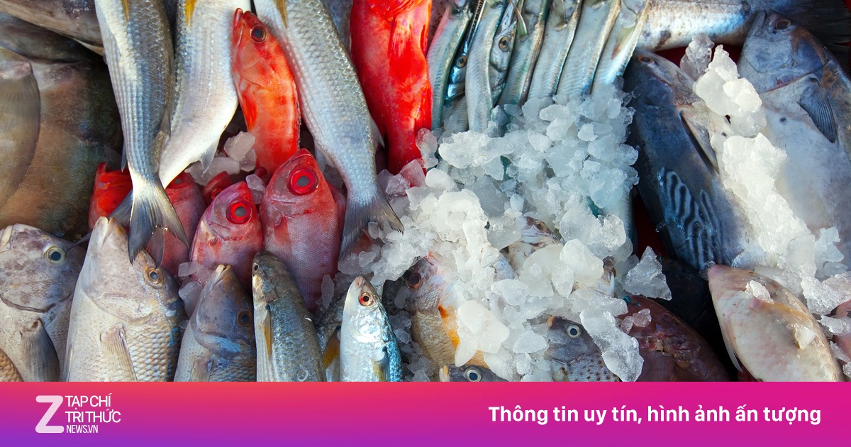 Các loại cá chứa nhiều thủy ngân gây hại cho sức khỏe