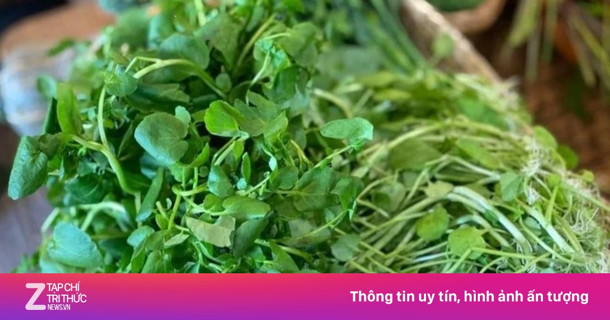 Loại rau từng bị coi như cỏ dại nhưng lại tốt cho gan