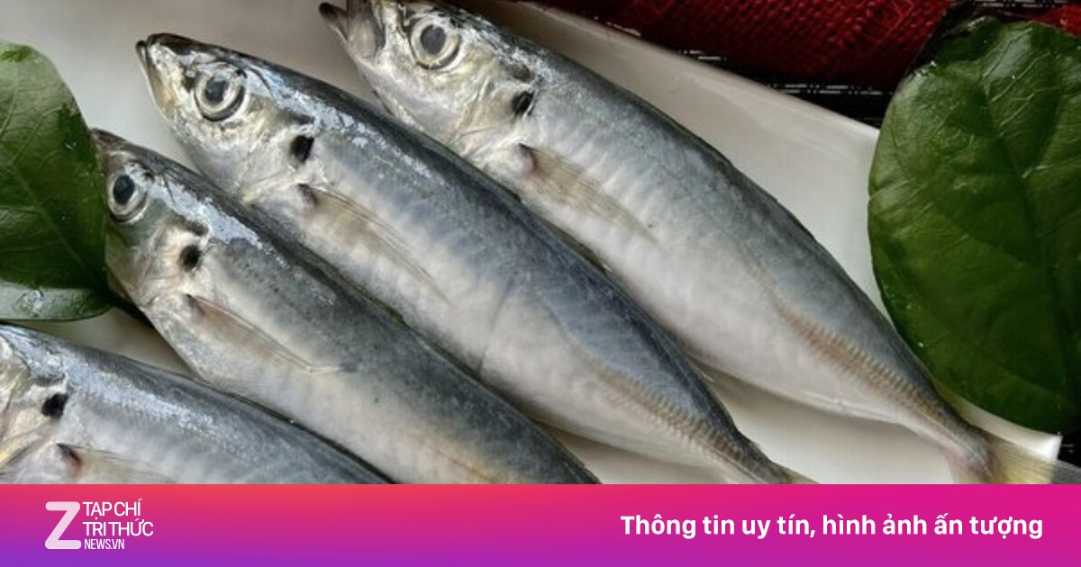 Loại cá dân dã cứ ra chợ là thấy, giàu Omega-3, bổ đủ đường