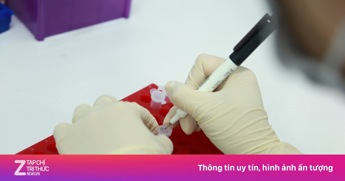 Tờ kết quả ADN khiến cả gia đình tranh cãi gay gắt