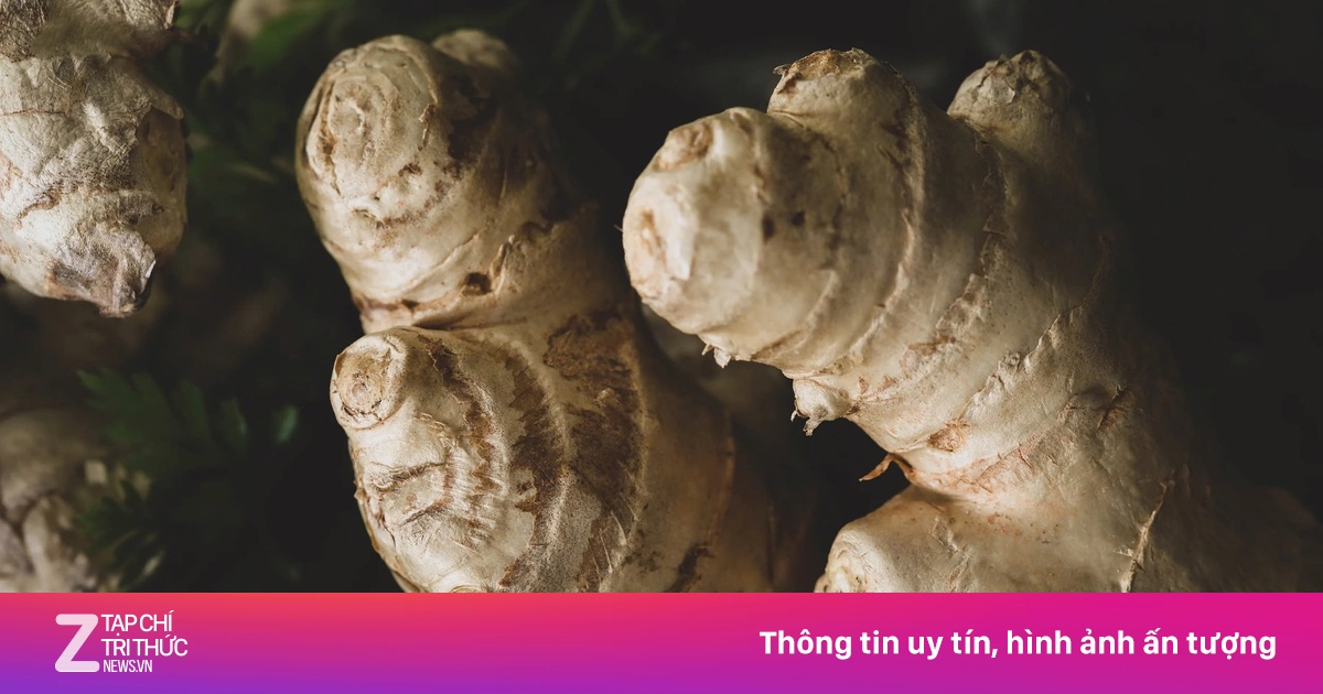 Cây thuốc bổ chẳng kém nhân sâm tổ yến, nhiều người dùng mỗi ngày