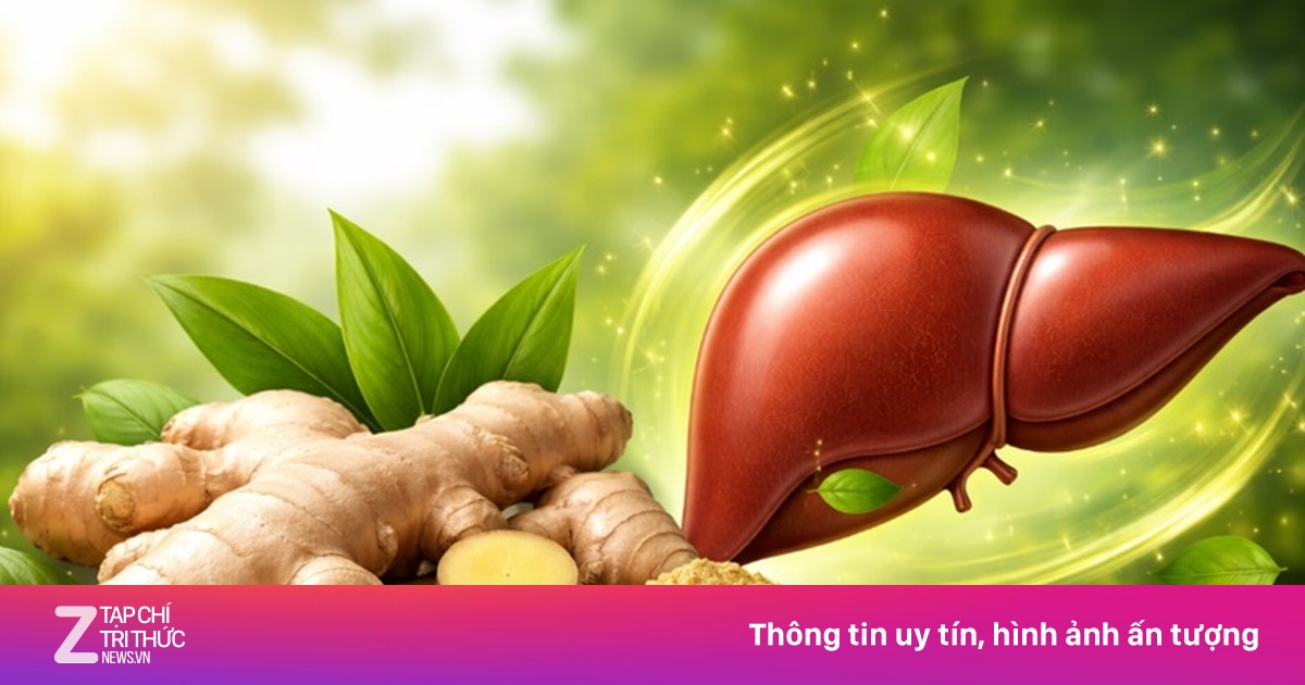 Củ Gừng - Vị Thuốc Quý Hỗ Trợ Thải Độc Và Bảo Vệ Gan Hiệu Quả