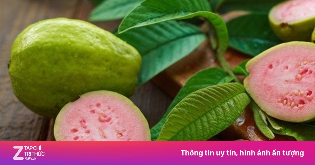 Tin vui cho người thích ăn ổi ruột hồng